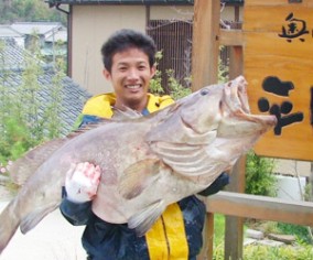 幻の魚あら クエ 鍋 二 三人前 日本全国各地の名産品やお土産のお取り寄せモール 風土jp 壱岐もの屋